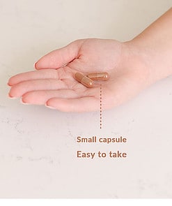 Easy-to-take-cinnamon-capsules